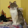 Отзыв от Лидия Швецова
